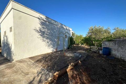 Ruïna a Ostuni, Brindisi, Ostuni - € 43.000 | Ref: Lamia Vite - foto 3